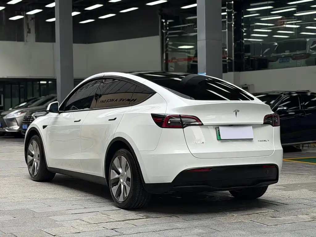 Tesla Model Y — фото 13