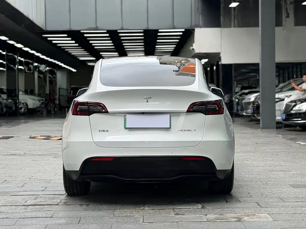 Tesla Model Y — фото 14