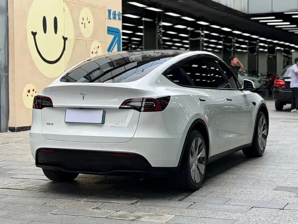 Tesla Model Y — фото 15