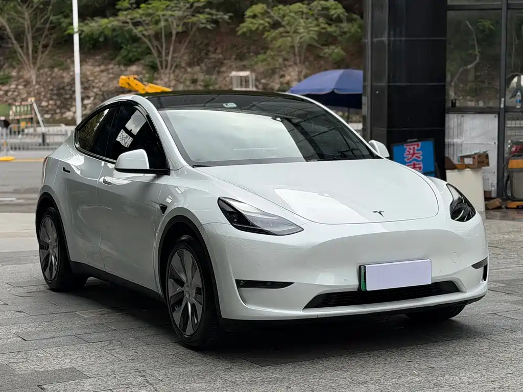 Tesla Model Y — фото 3