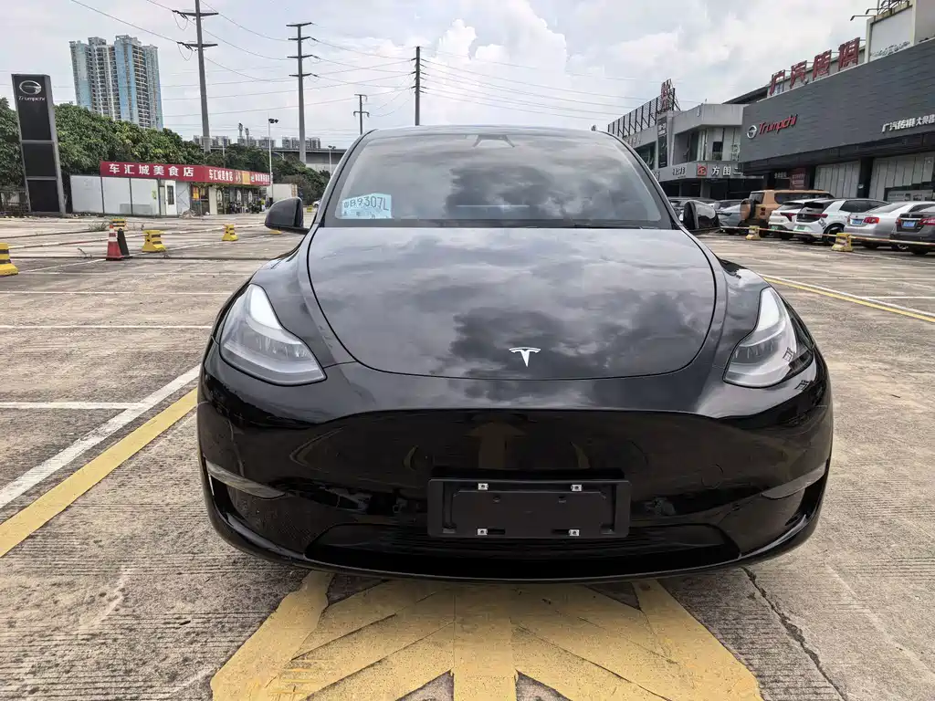 Tesla Model Y — фото 2
