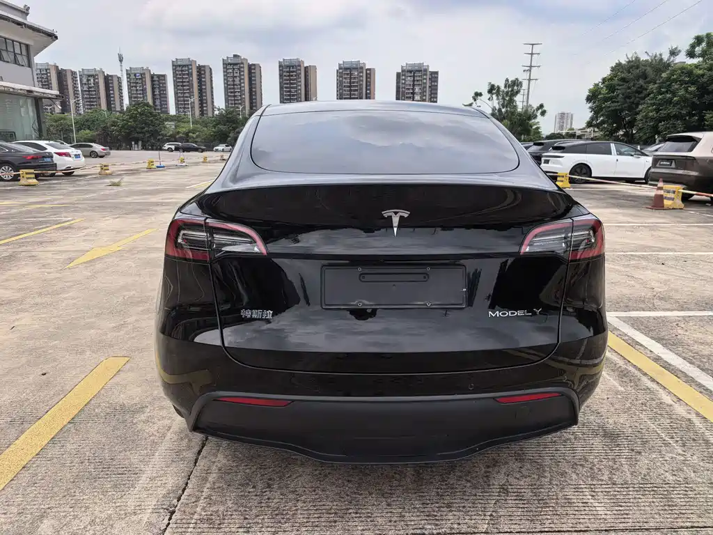 Tesla Model Y — фото 11