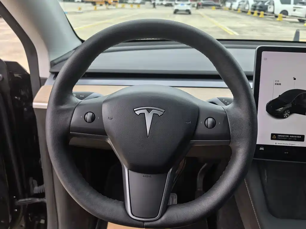 Tesla Model Y — фото 13