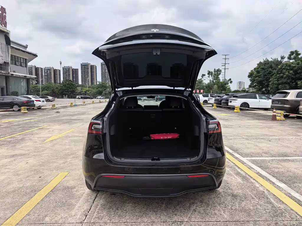 Tesla Model Y — фото 17