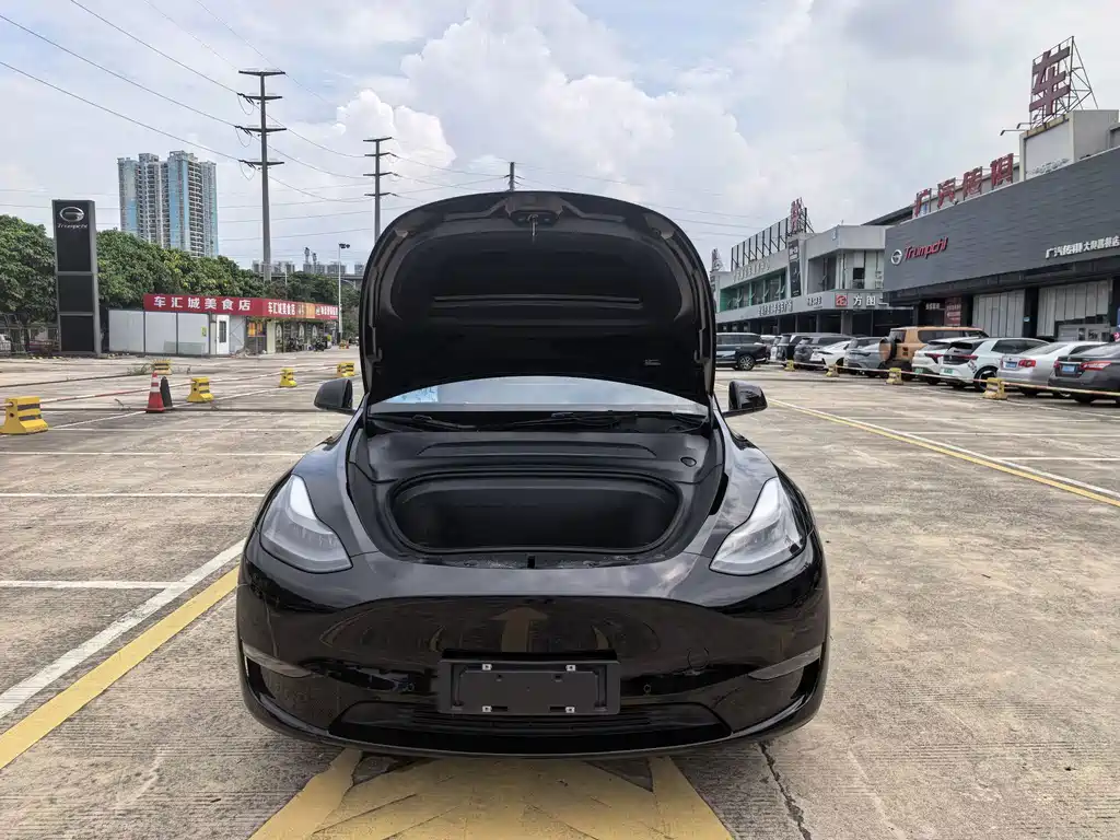 Tesla Model Y — фото 20
