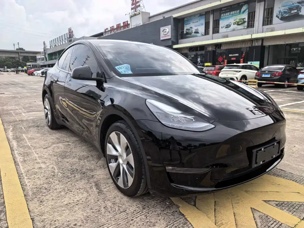 Tesla Model Y — фото 3