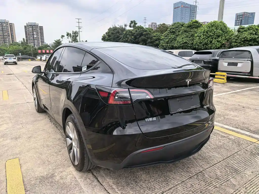 Tesla Model Y — фото 10