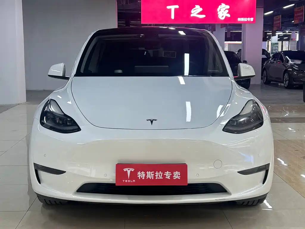 Tesla Model Y — фото 2