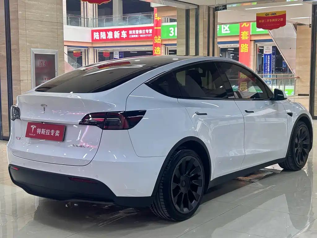 Tesla Model Y — фото 11