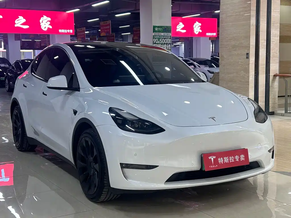 Tesla Model Y — фото 3