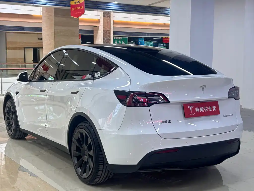 Tesla Model Y — фото 9