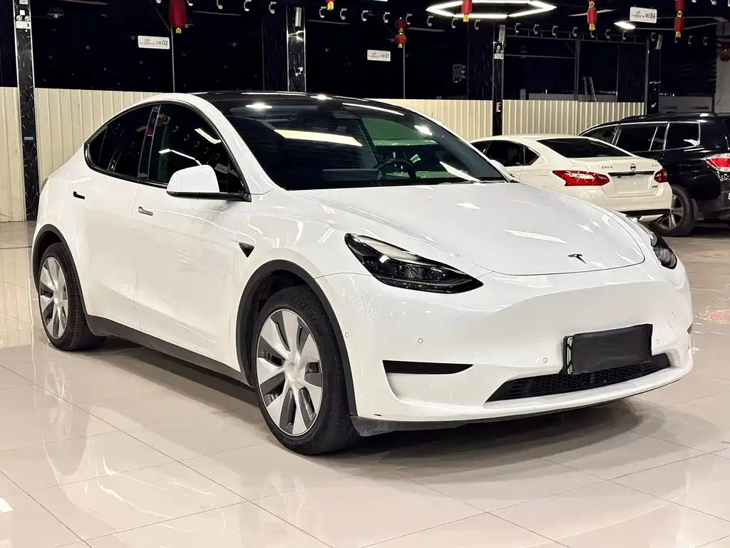 Tesla Model Y — фото 3