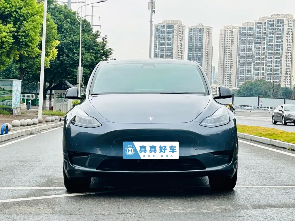 Tesla Model Y — фото 2