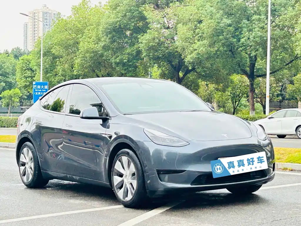 Tesla Model Y — фото 3