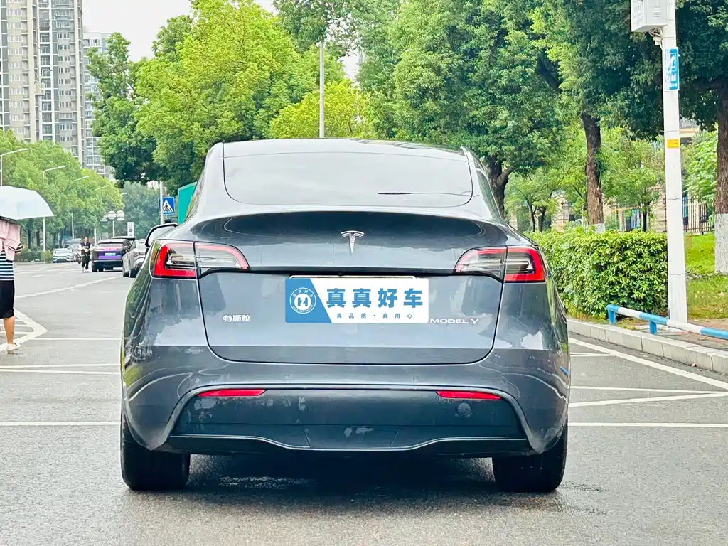 Tesla Model Y — фото 5