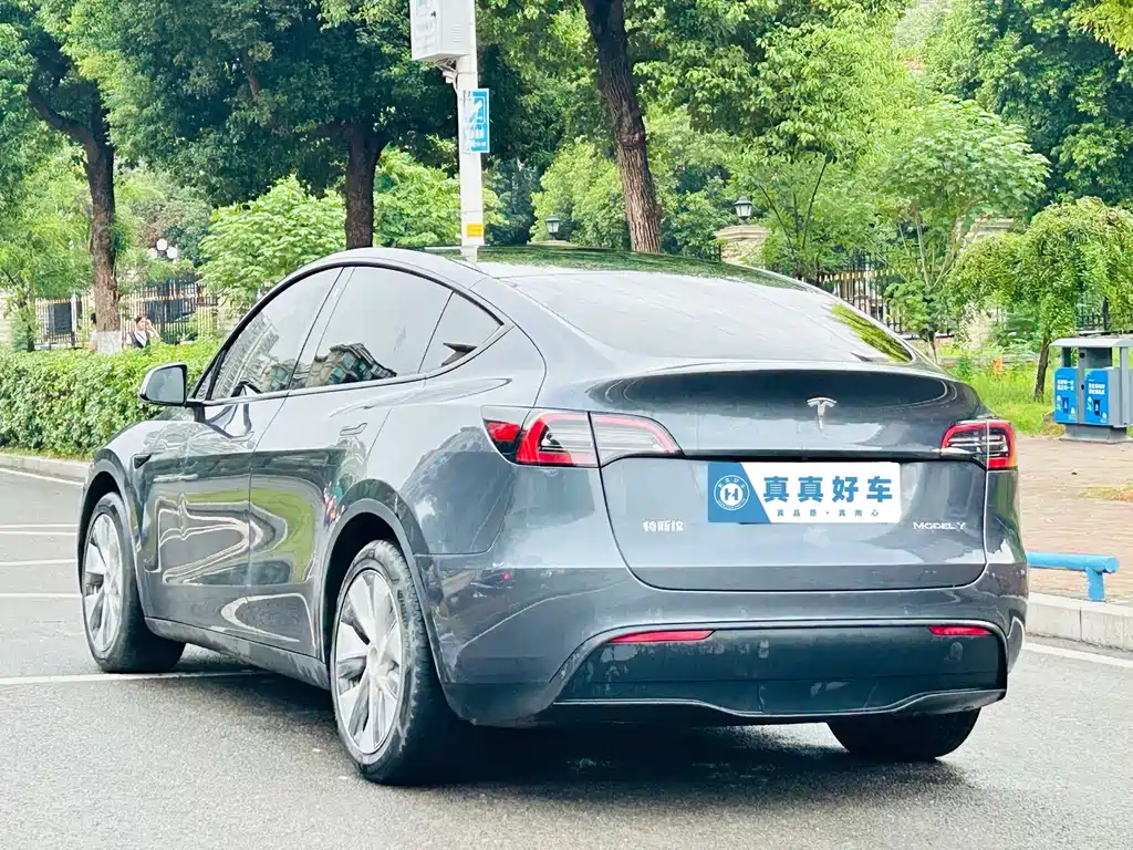 Tesla Model Y — фото 6