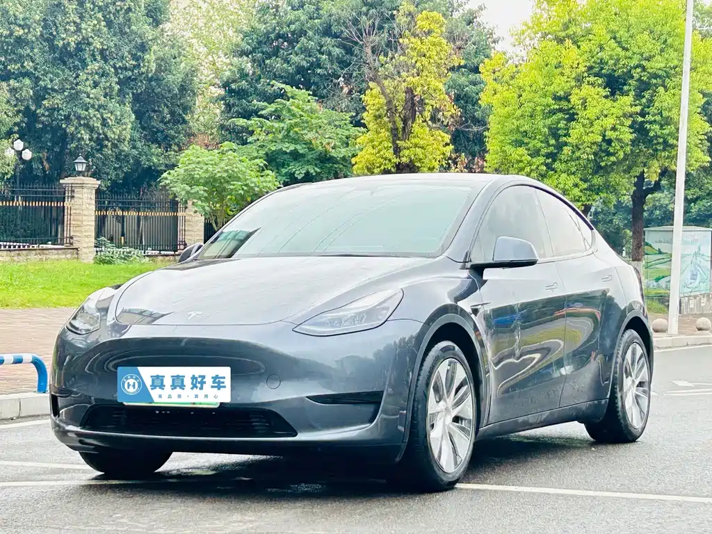 Tesla Model Y — фото 1