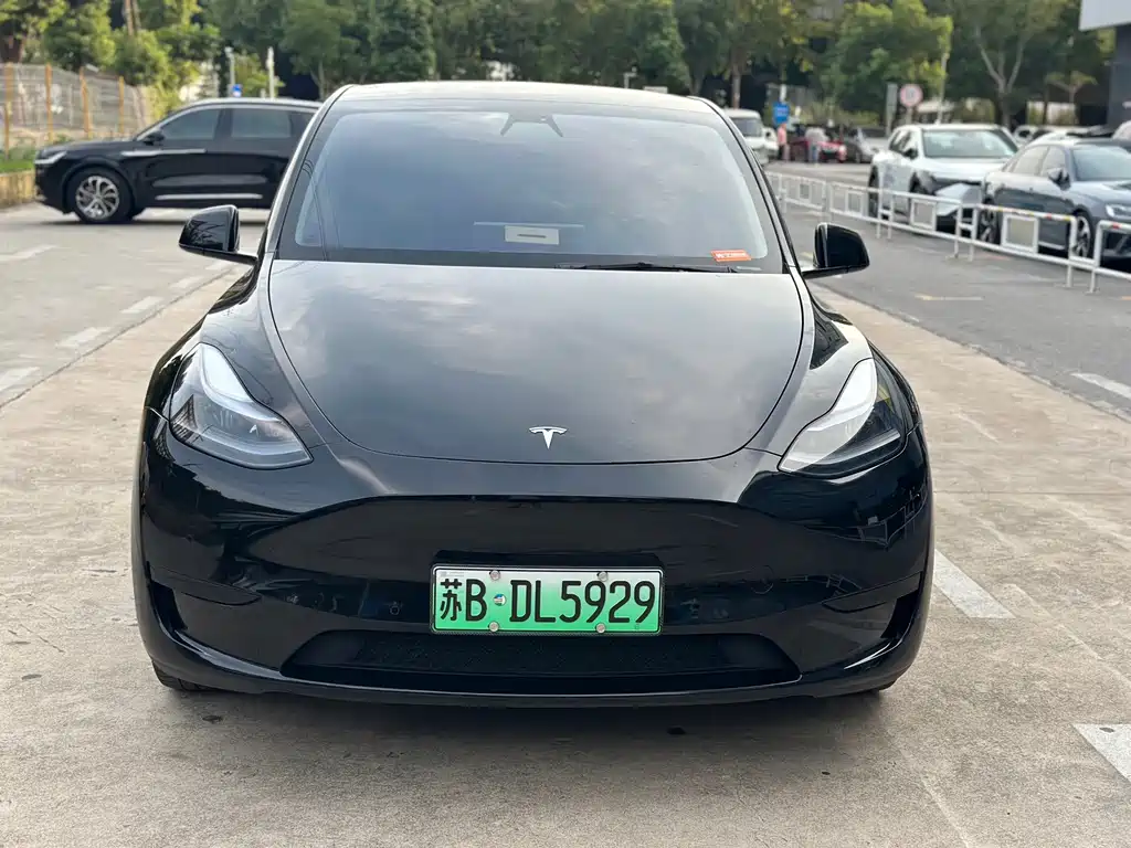 Tesla Model Y — фото 2
