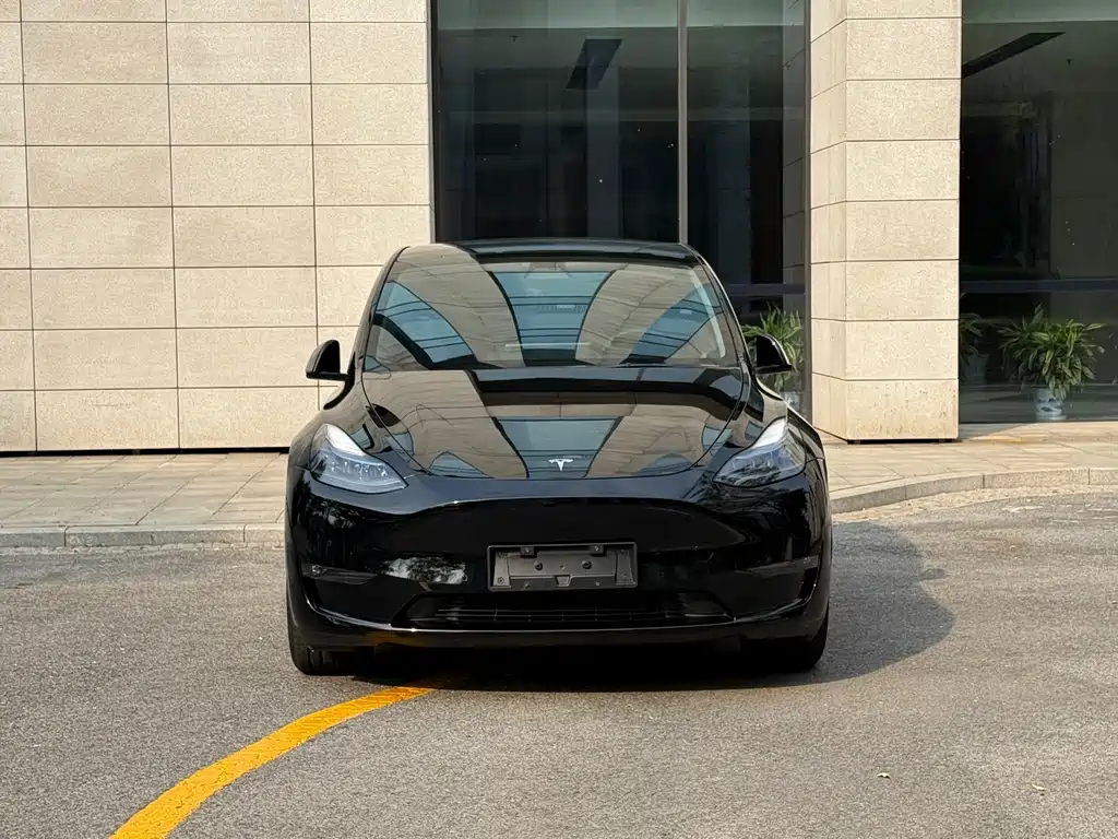 Tesla Model Y — фото 2