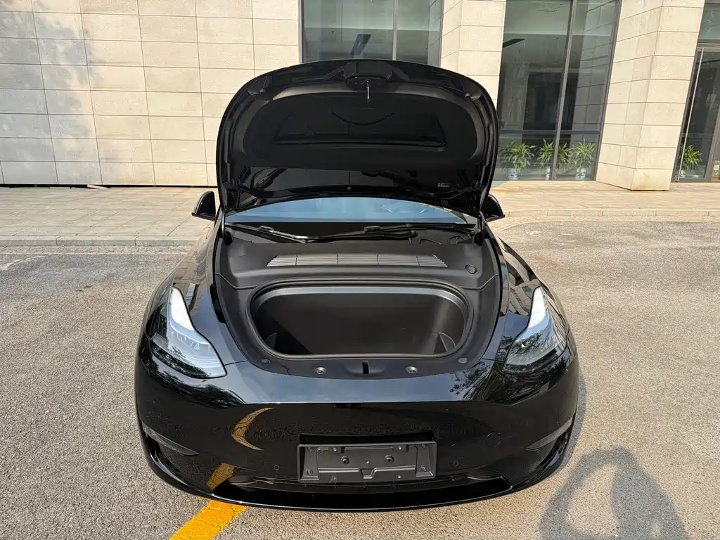 Tesla Model Y — фото 15