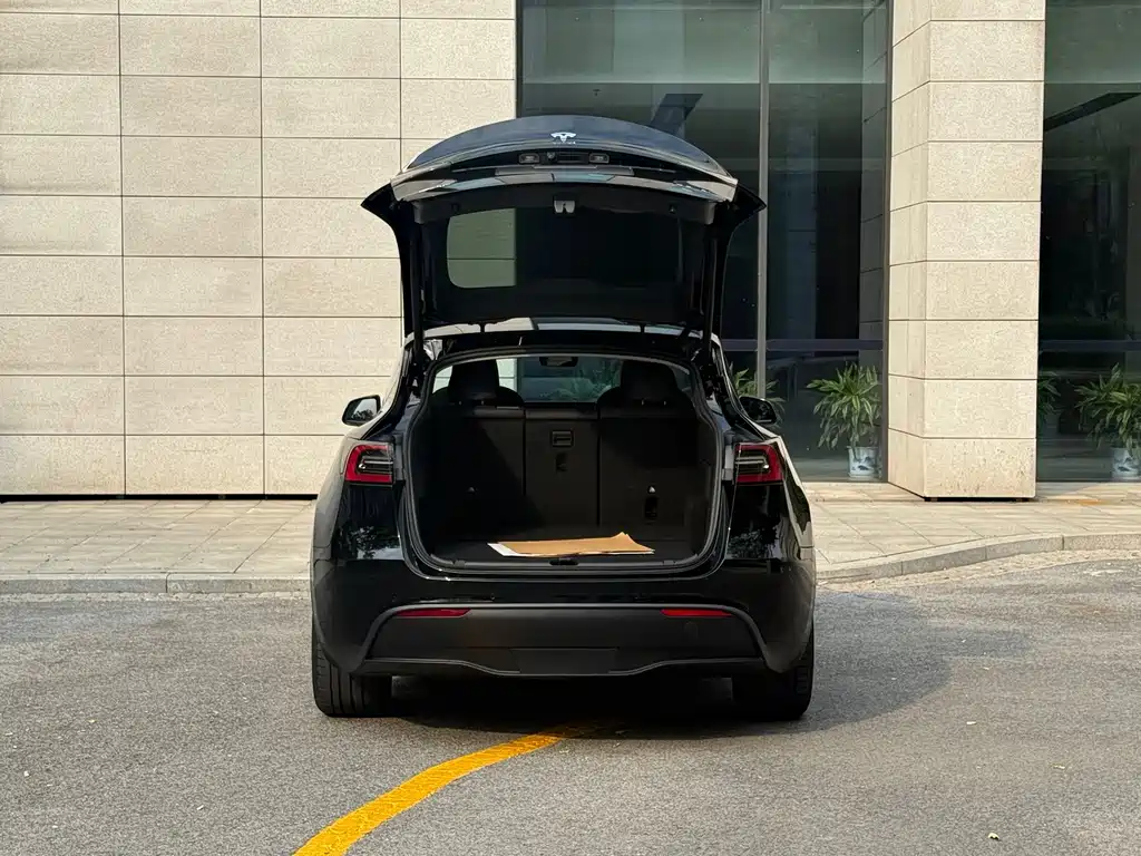 Tesla Model Y — фото 16