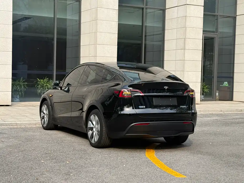 Tesla Model Y — фото 17