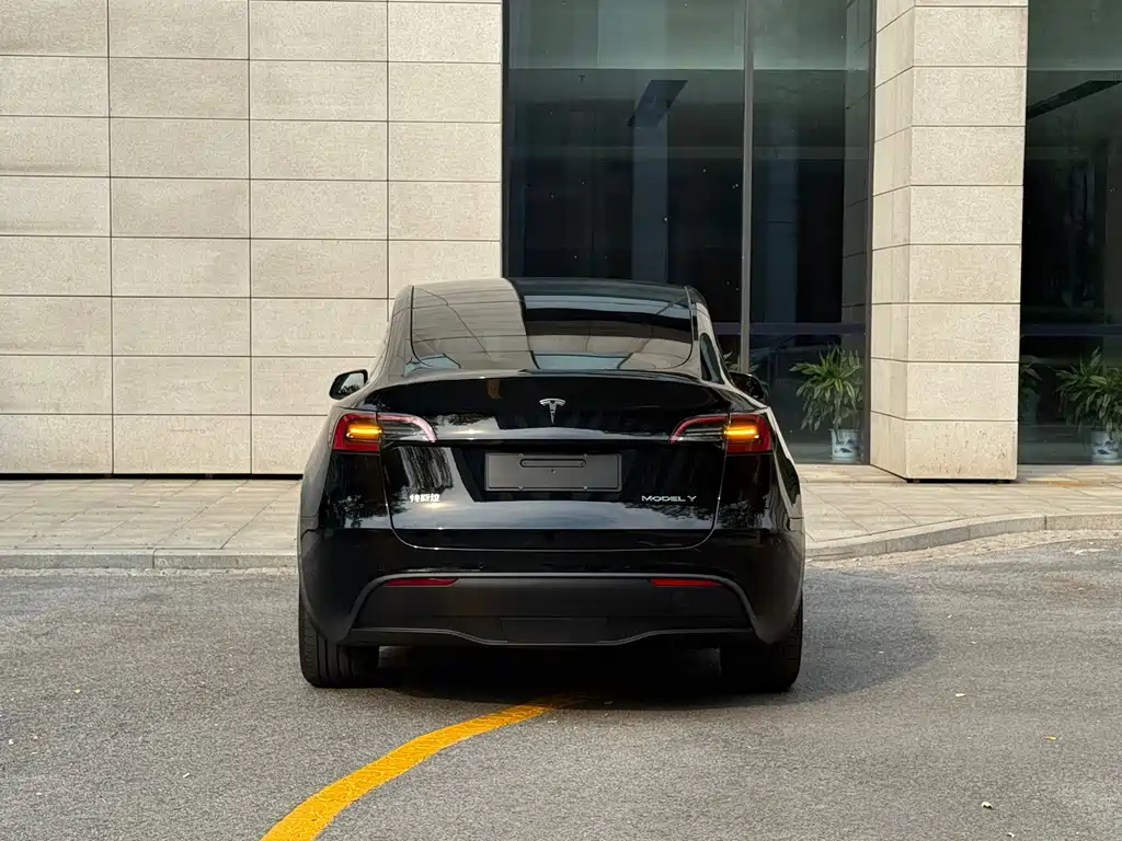 Tesla Model Y — фото 18