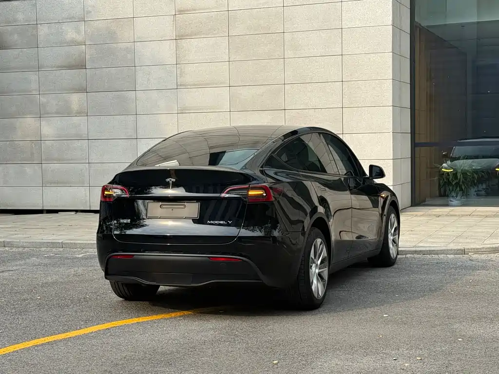 Tesla Model Y — фото 19