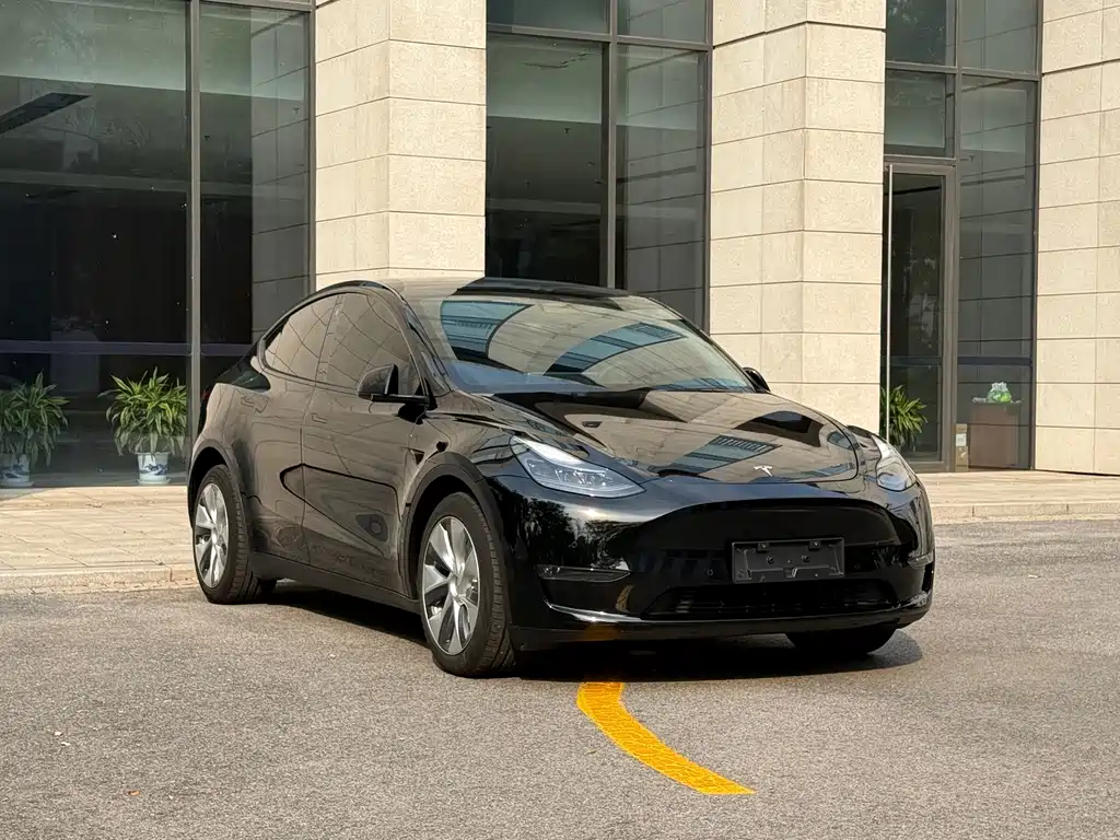 Tesla Model Y — фото 3