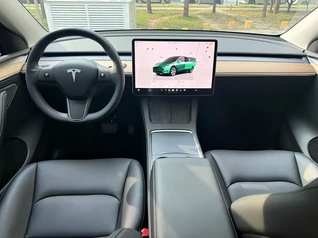 Tesla Model Y — фото 10