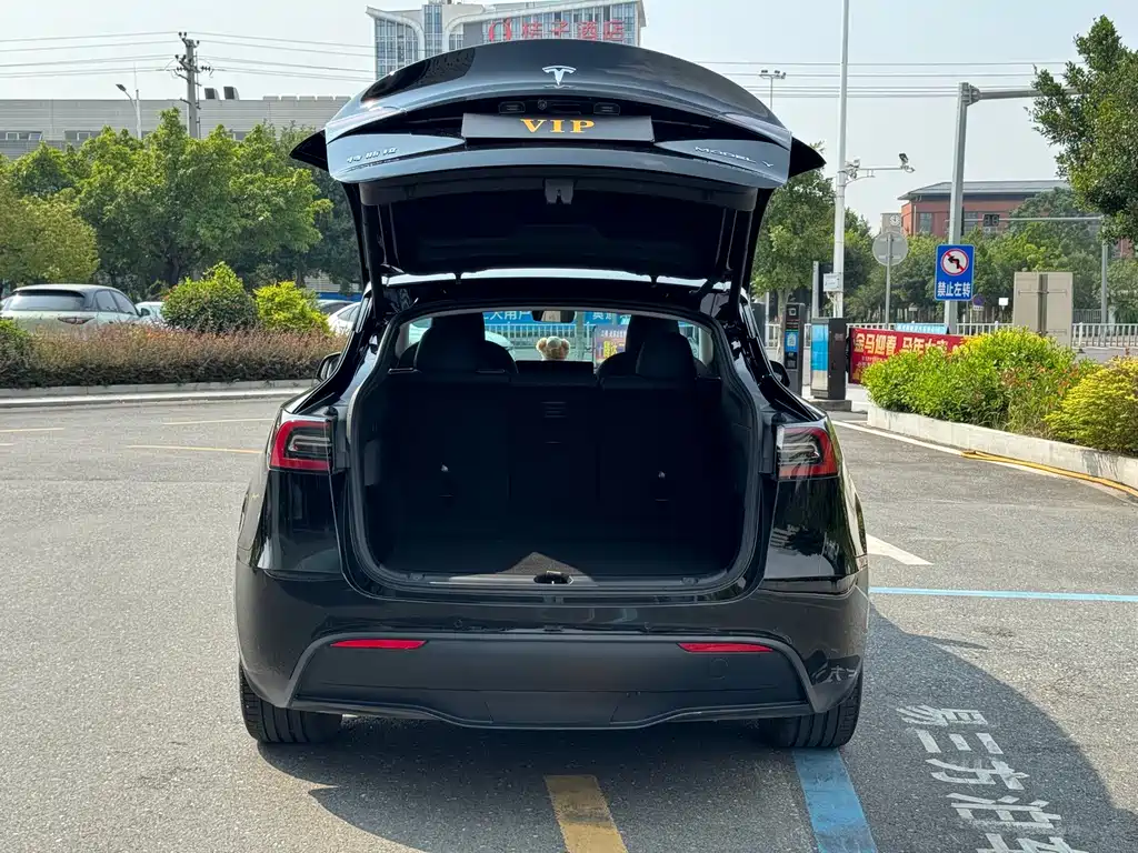 Tesla Model Y — фото 11