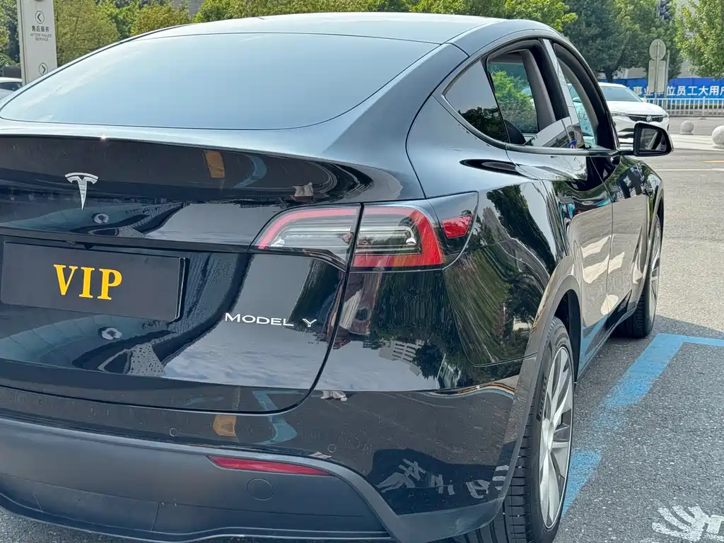 Tesla Model Y — фото 13