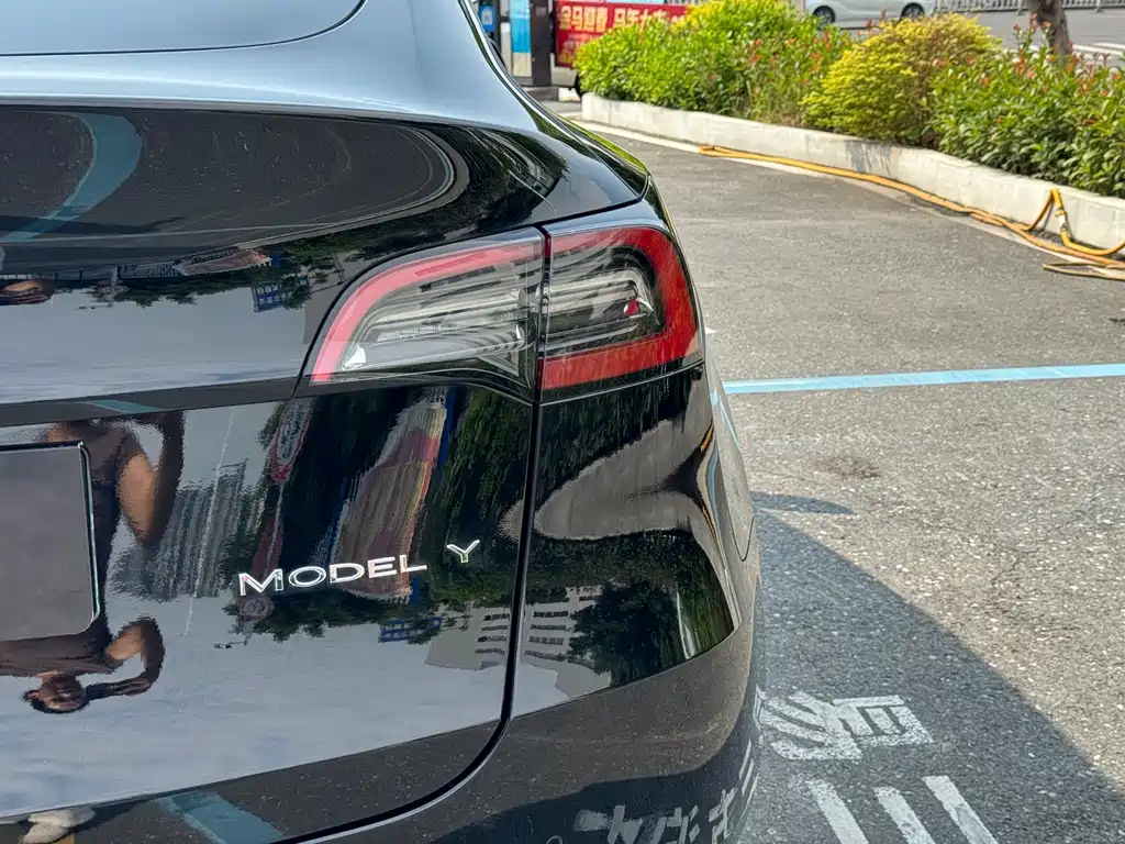 Tesla Model Y — фото 14