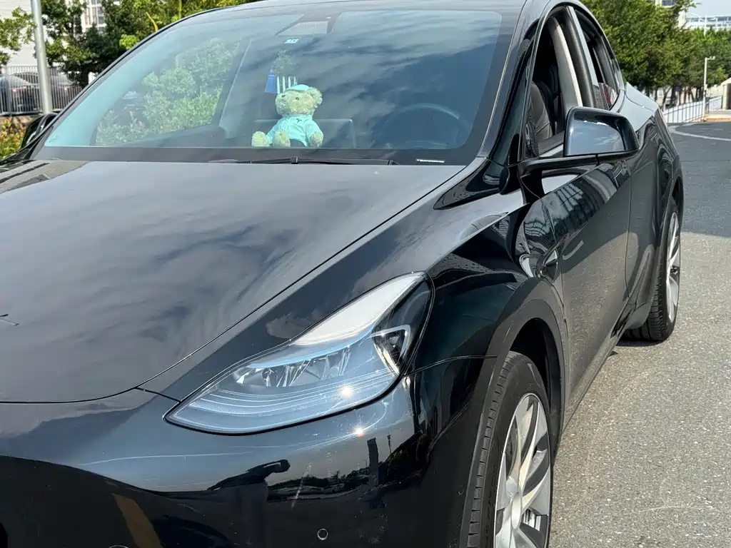 Tesla Model Y — фото 15