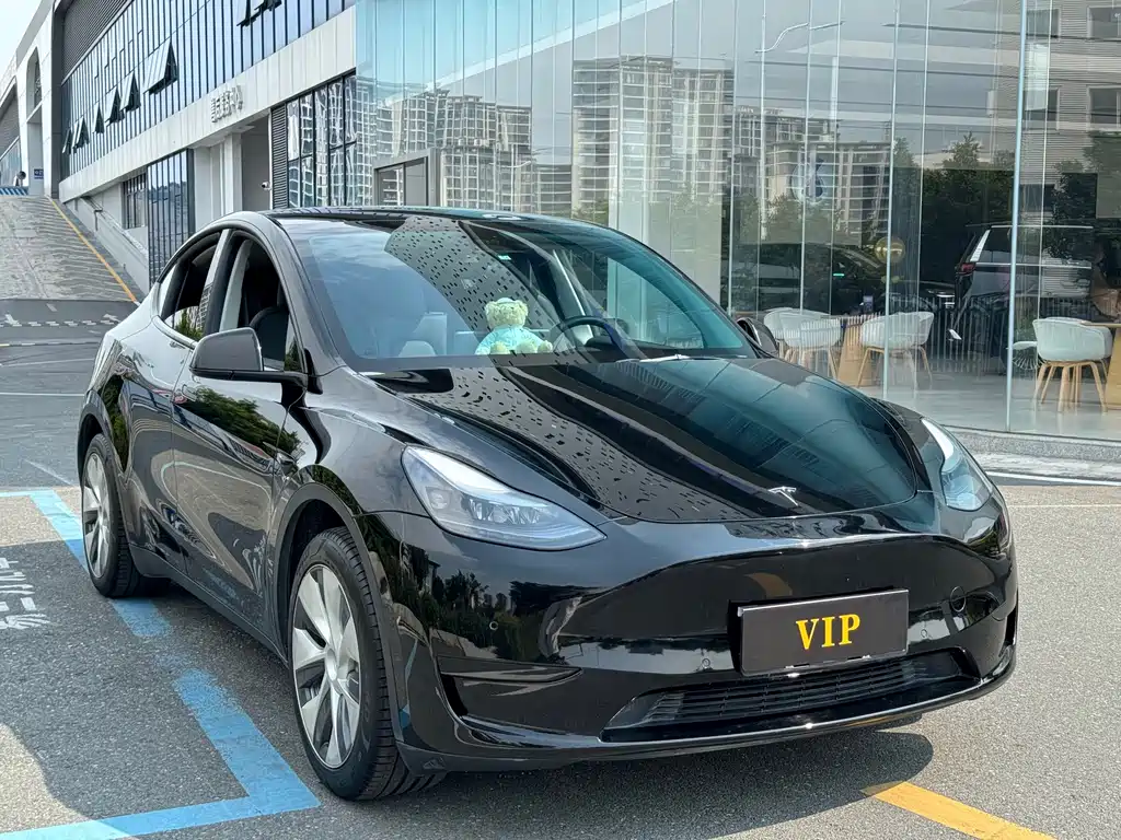 Tesla Model Y — фото 3