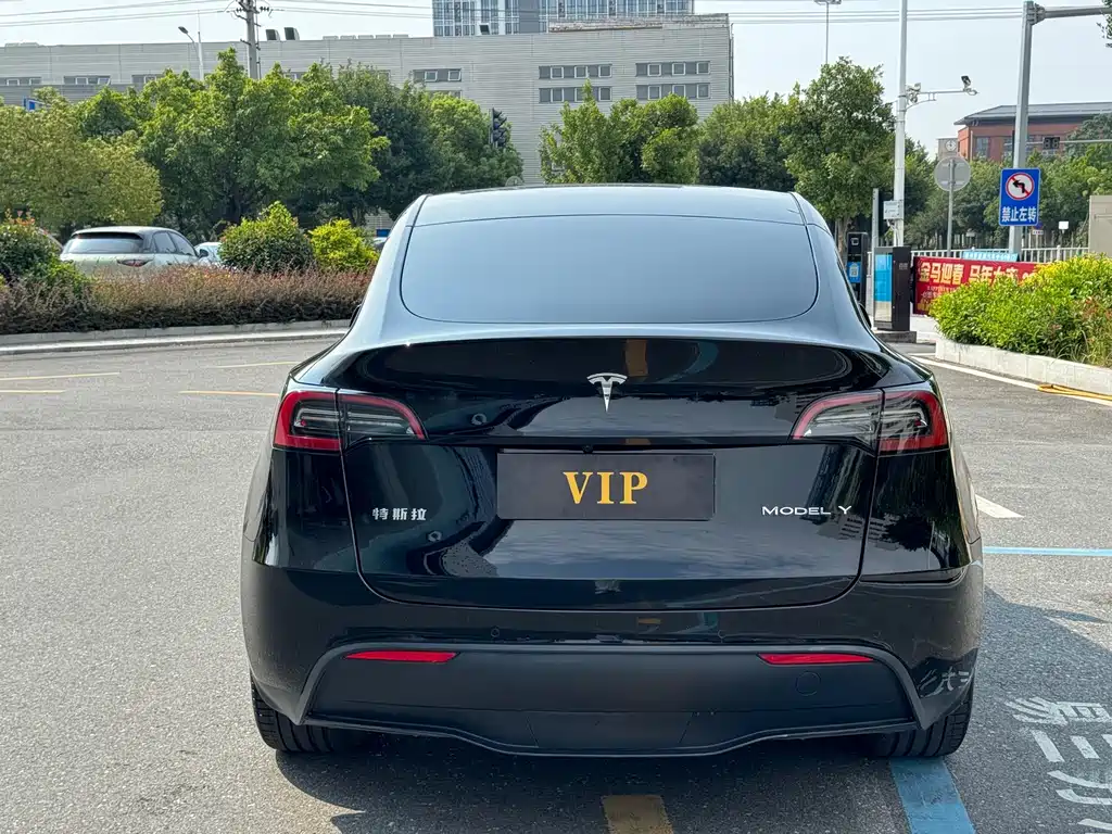 Tesla Model Y — фото 5
