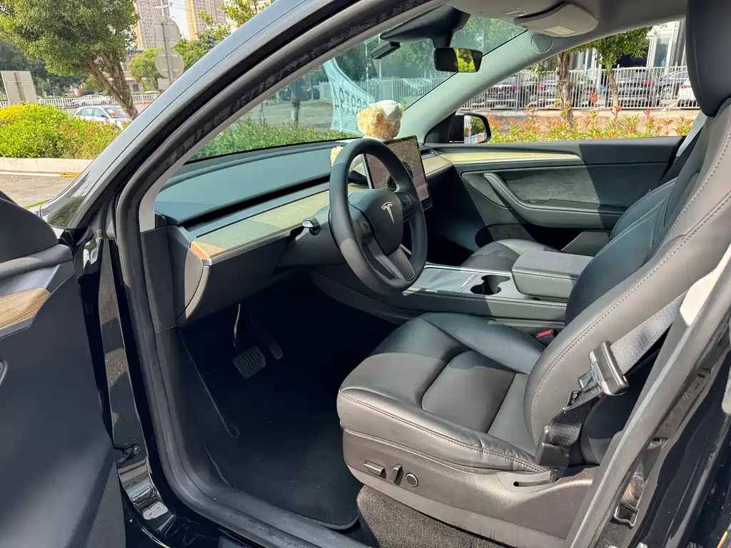 Tesla Model Y — фото 7