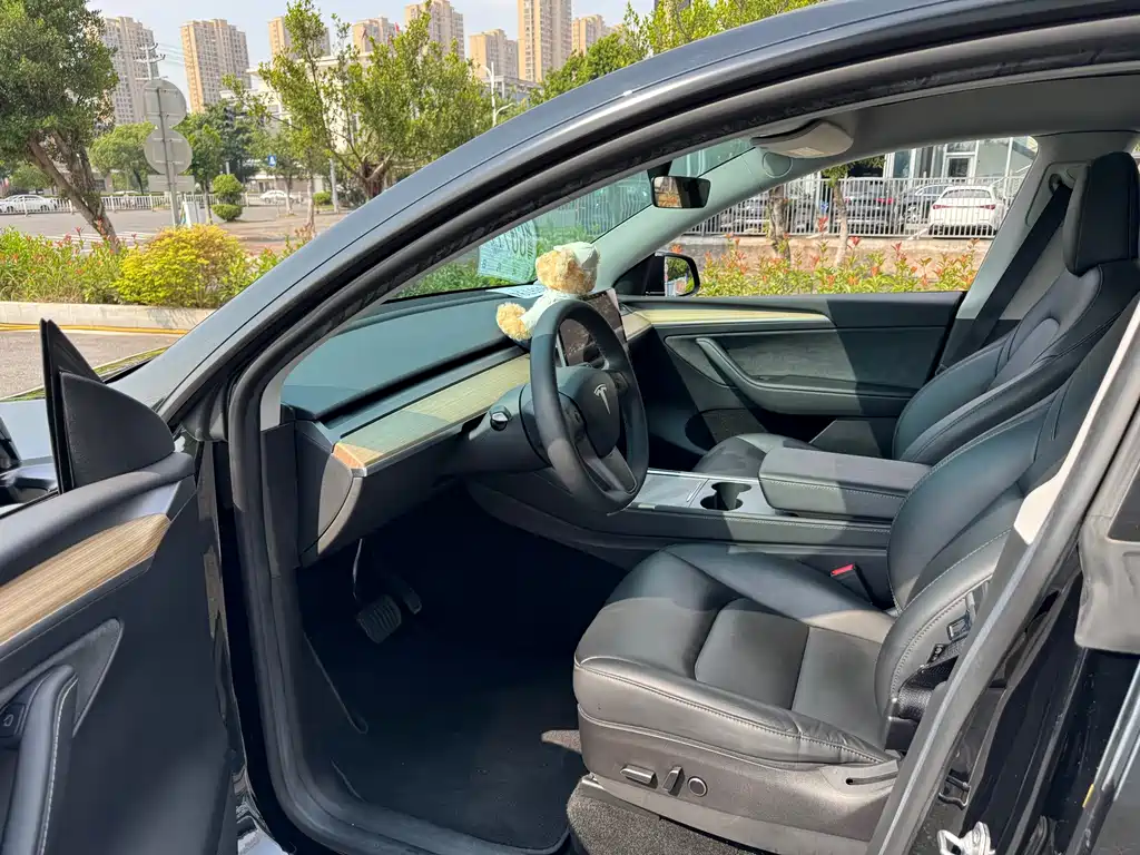 Tesla Model Y — фото 10
