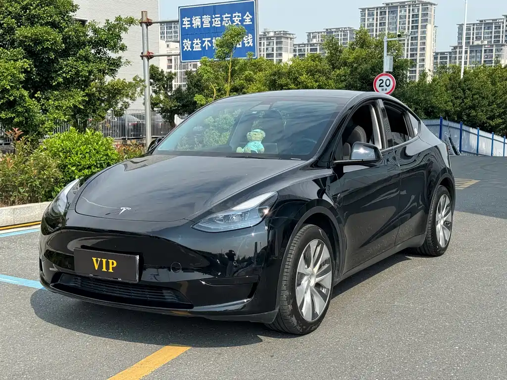 Tesla Model Y — фото 1