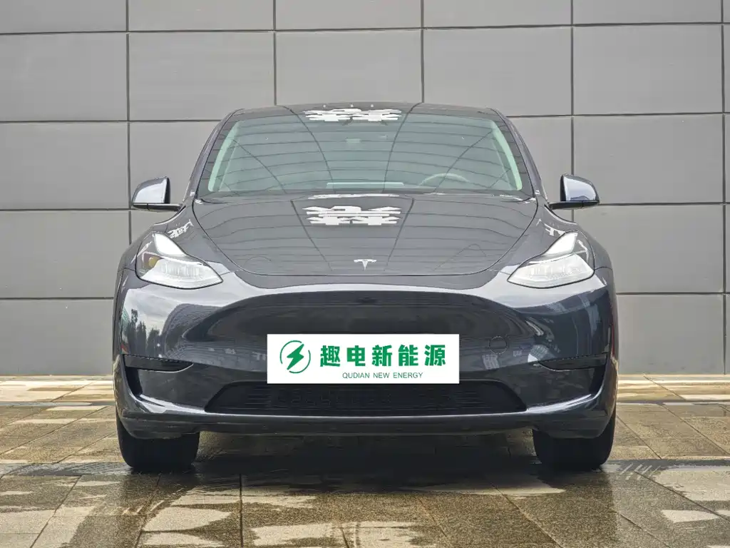 Tesla Model Y — фото 2