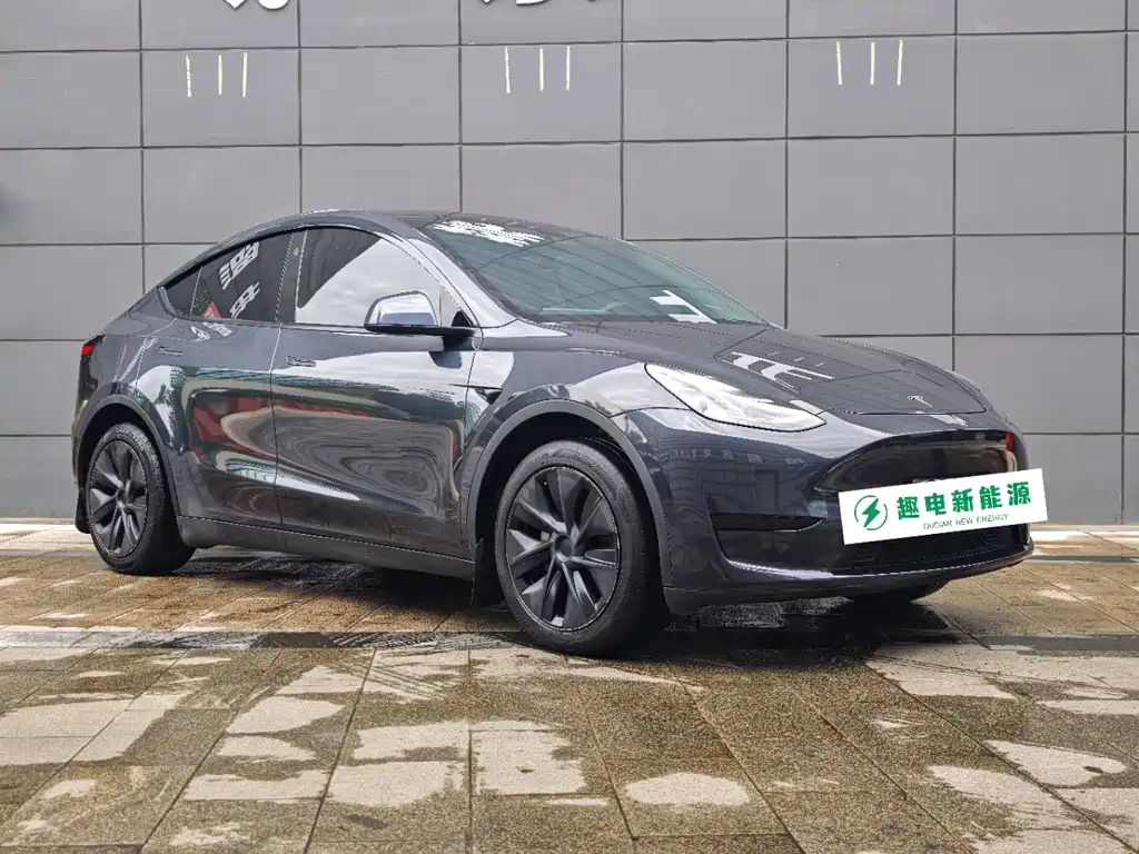 Tesla Model Y — фото 3