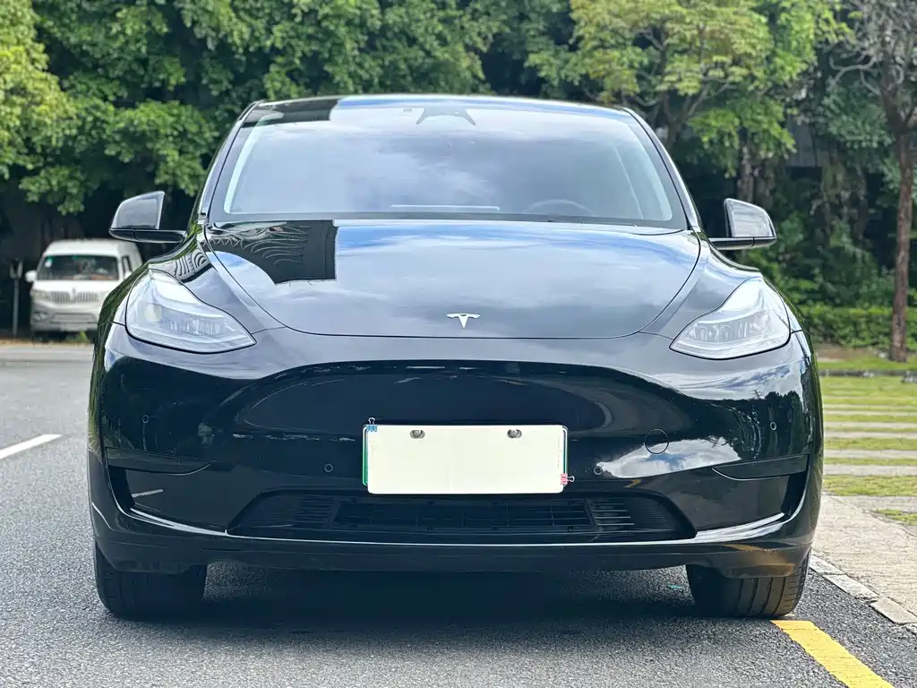 Tesla Model Y — фото 2