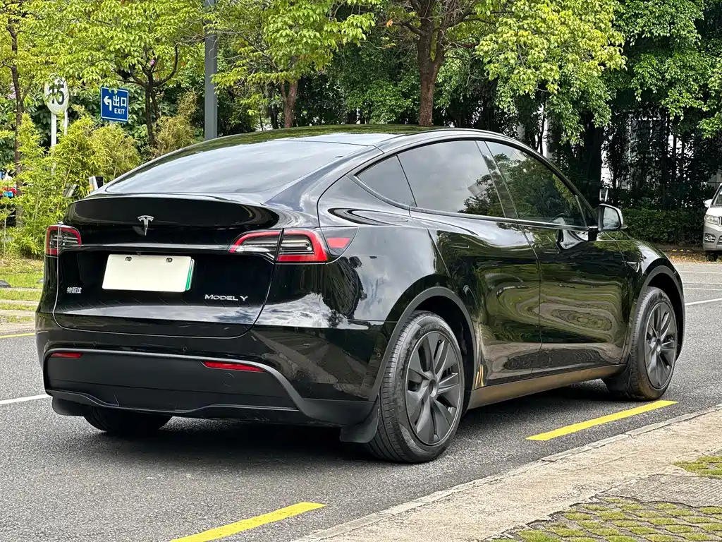 Tesla Model Y — фото 11