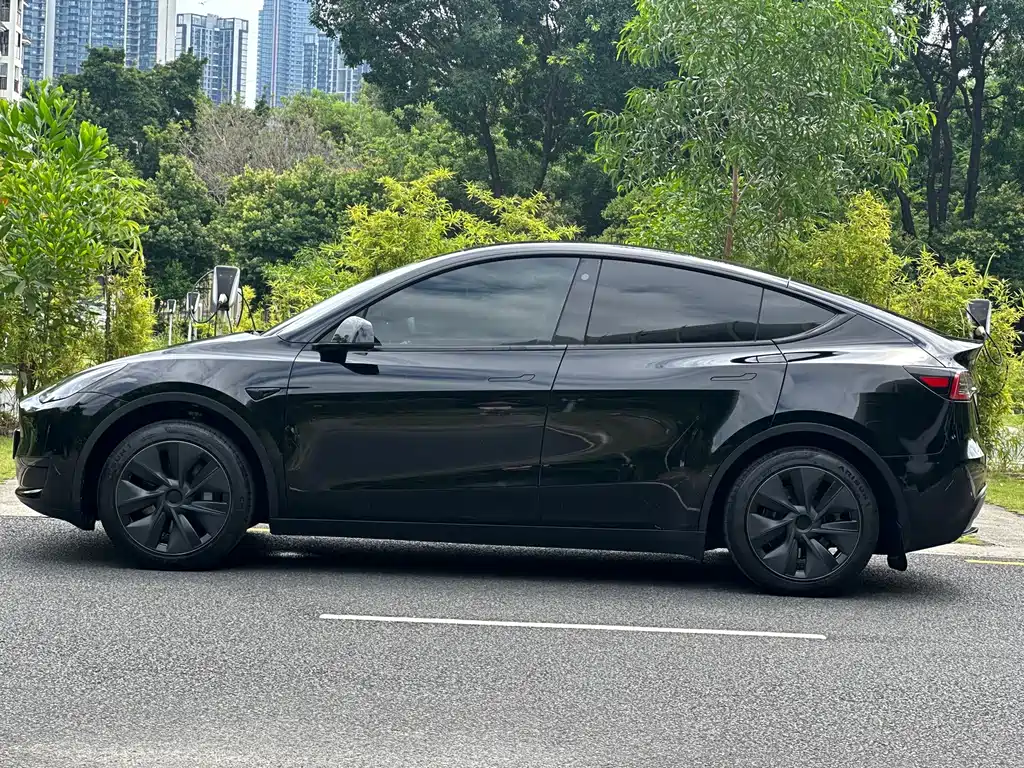 Tesla Model Y — фото 13