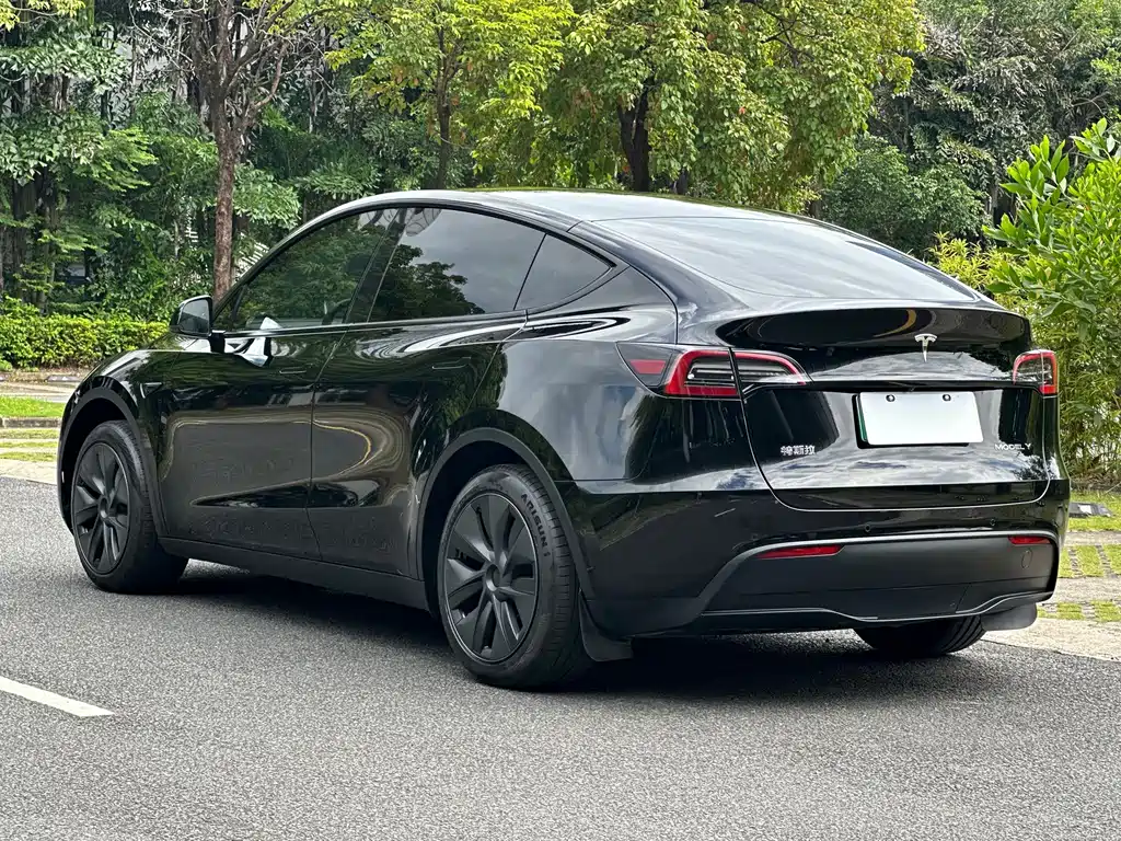 Tesla Model Y — фото 14