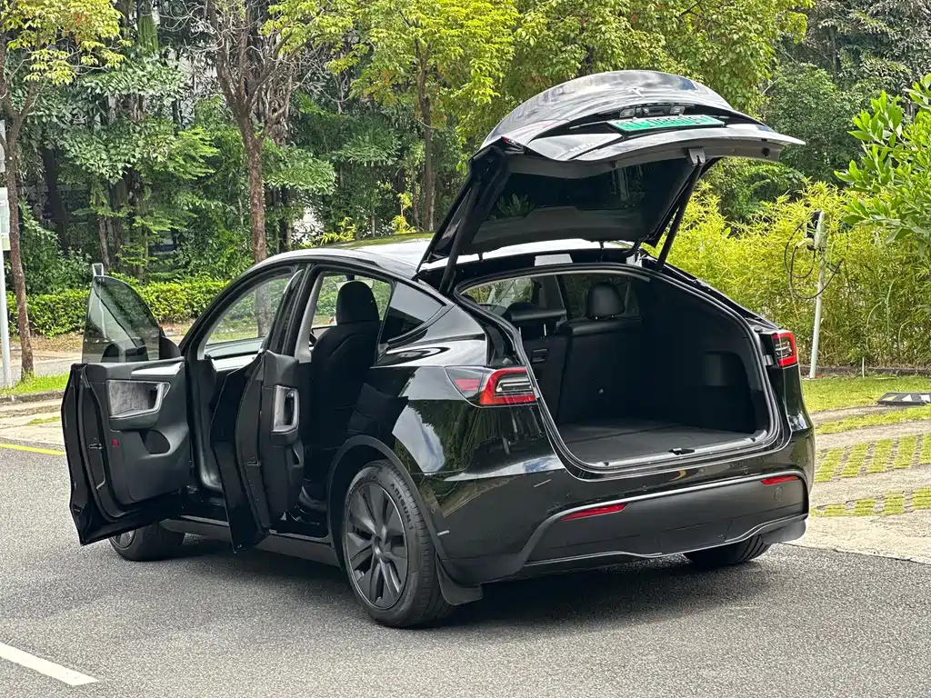 Tesla Model Y — фото 15