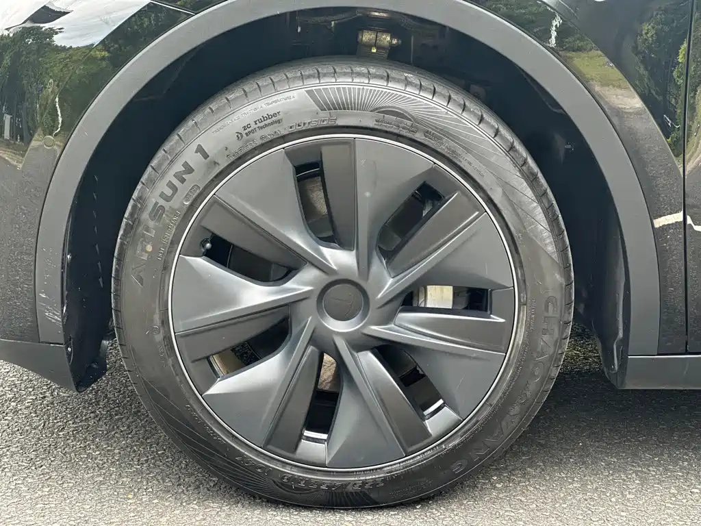 Tesla Model Y — фото 18