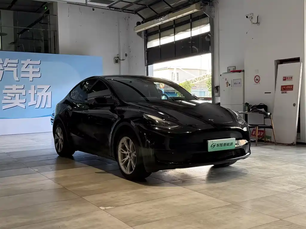 Tesla Model Y — фото 3