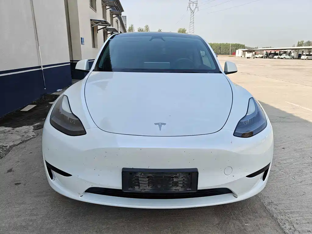 Tesla Model Y — фото 2