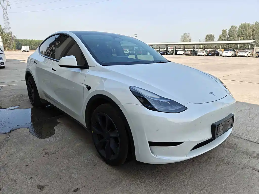 Tesla Model Y — фото 3